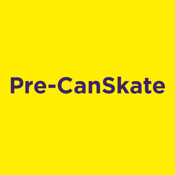 Learn to Skate Skating Lessons